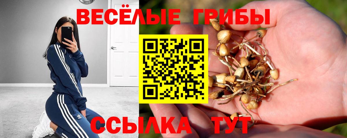 Галлюциногенные грибы MAGIC MUSHROOMS  Вход с VPN  Коломна  Галлюциногенные грибы мухоморы 